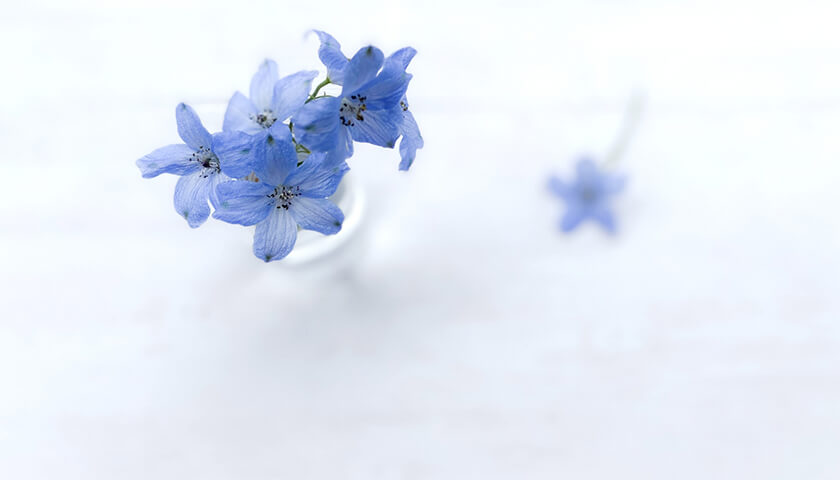 ̮郎40©ڤ줬롣ڡ᡼٤